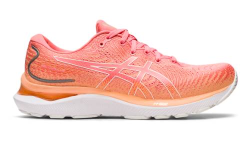 GEL CUMULUS 24 / PESCA